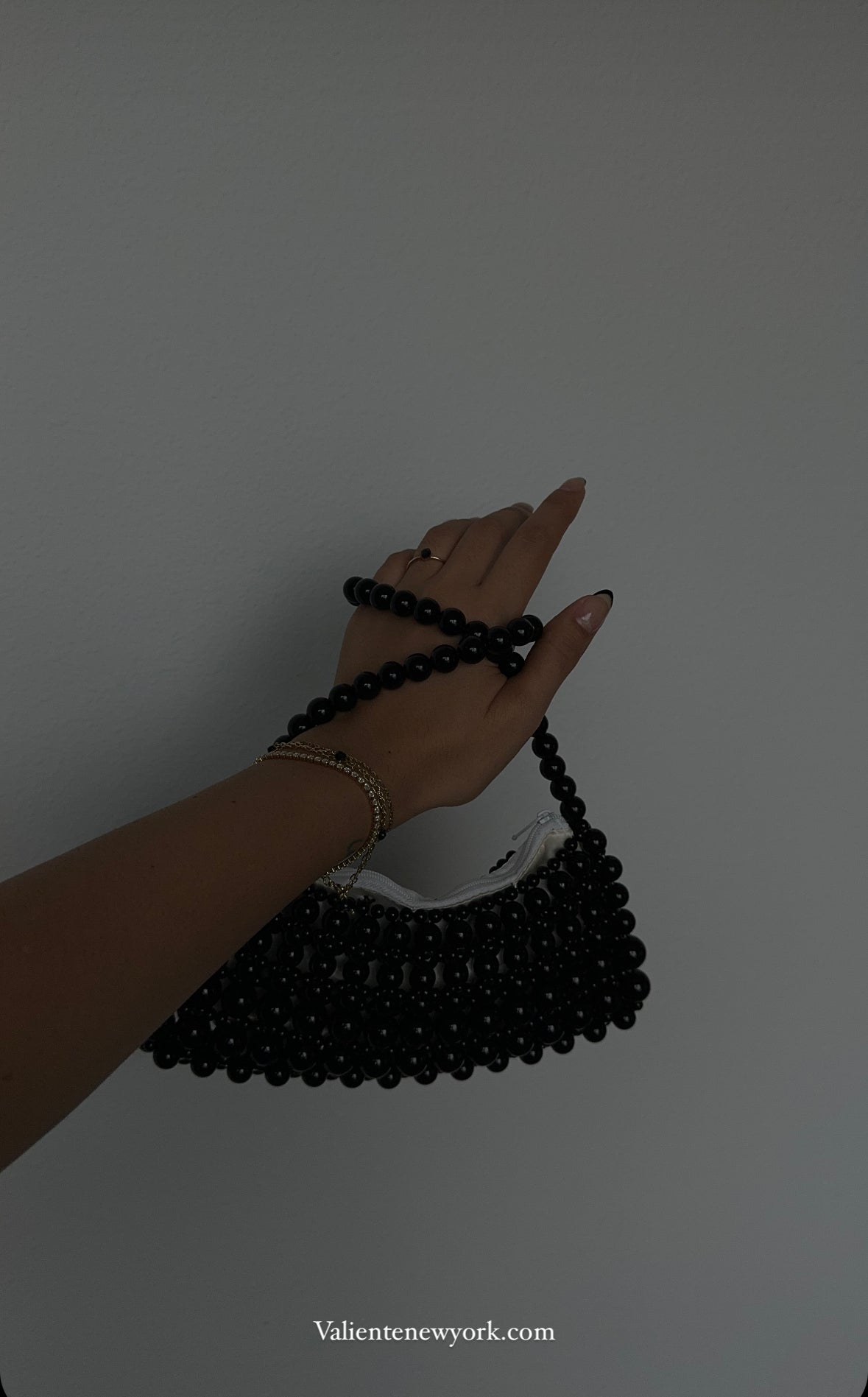 The Renaissance Bag