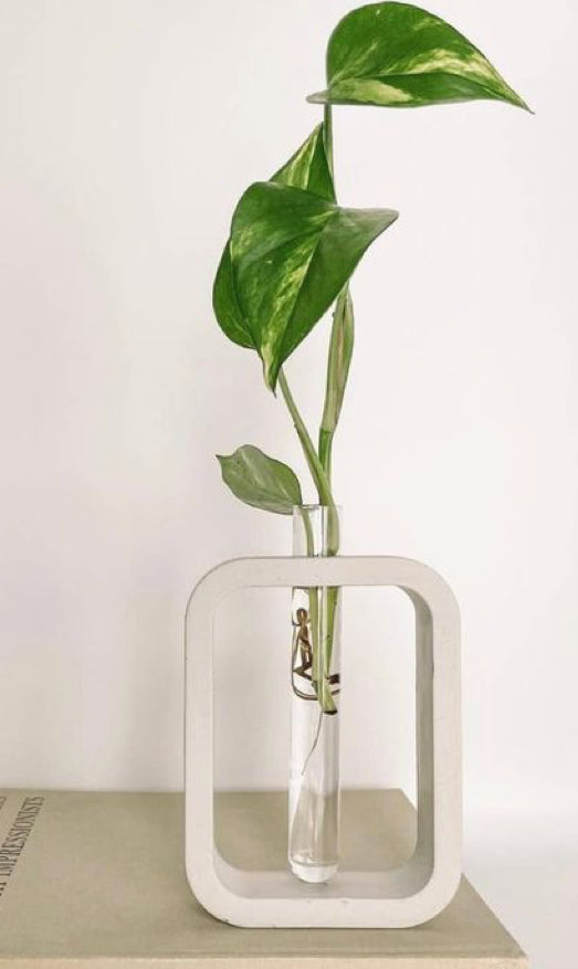 Cement pot rectangle shape