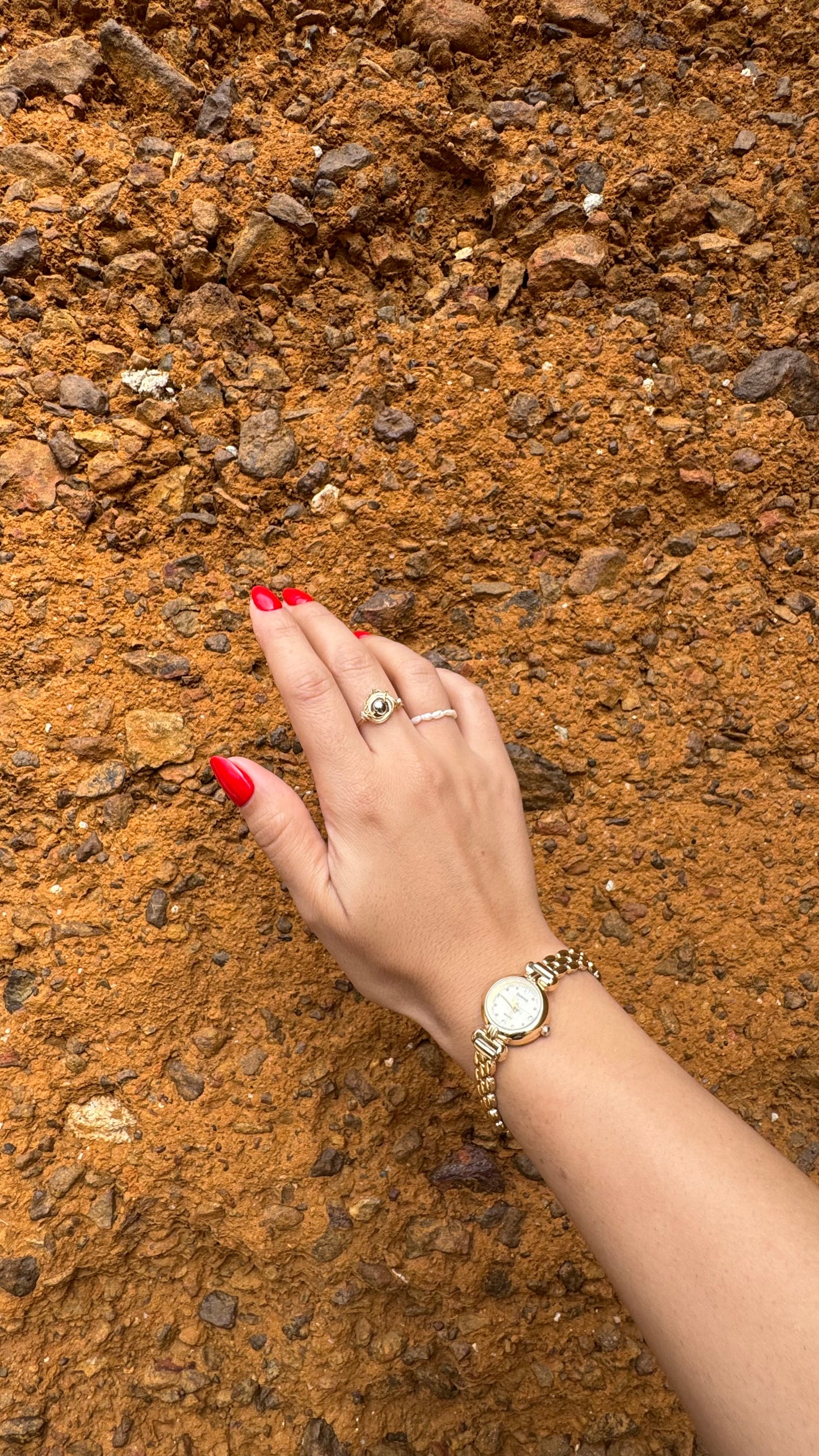 Mixed metals ring